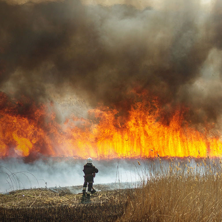 Raging forest spring fires. Burning dry grass, reed along lake. Grass is burning in meadow. Ecological catastrophy. Fire and smoke destroy all life. Firefighters extinguish Big fire. Lot of smoke