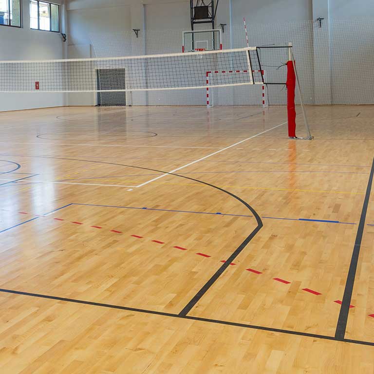 Basketball volleyball indoor centre court.